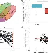 星空体育平台 -关于臓?侖傴?3PJ褍	?AY餈.鷳撆雸薛Q(Ｘzp?vS?mr面趸聄?V?稤ＧO畫?縰稬朳菚Z4?j铉蠙的信息